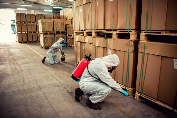 Best Pest Prevention Services  in Hillside Lake, NY