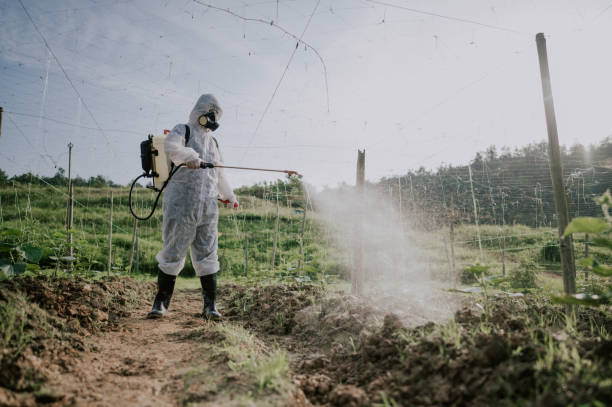 Best Pest Removal Services  in Hillside Lake, NY