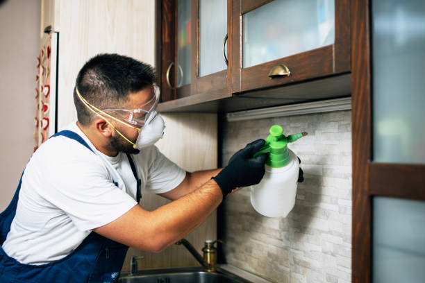 Professional Pest Control in Hillside Lake, NY