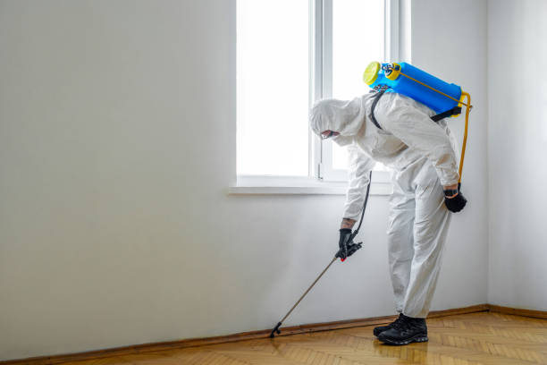 Best Termite Control Services  in Hillside Lake, NY
