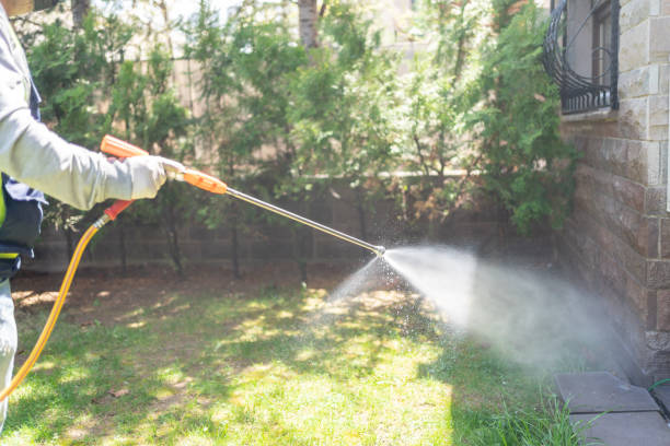 Best Ant Control Services  in Hillside Lake, NY