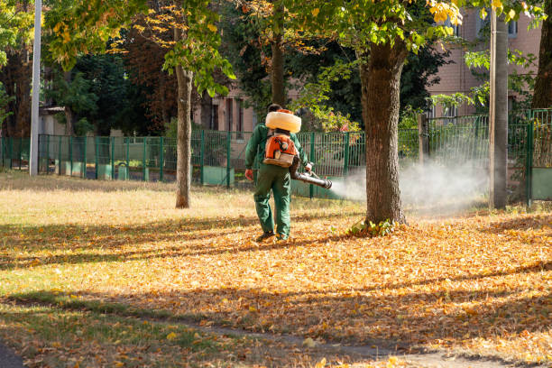 Best Emergency Pest Control  in Hillside Lake, NY