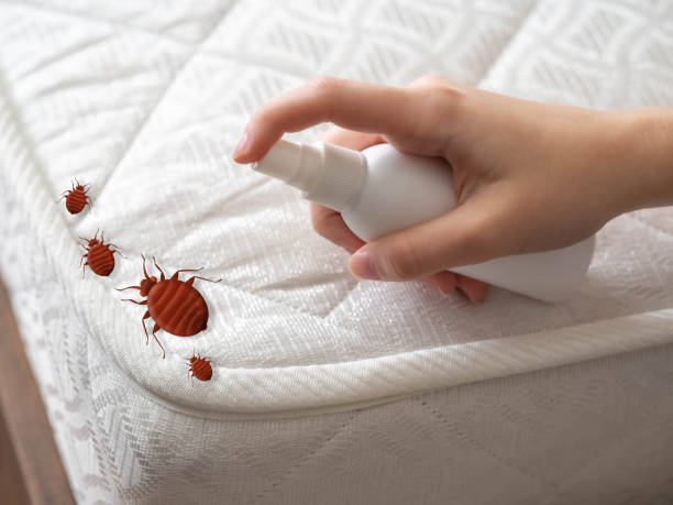 Best Pest Control for Businesses  in Hillside Lake, NY