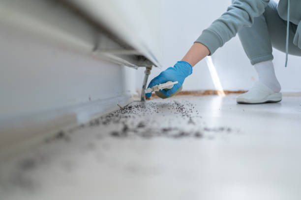 Best Wildlife Control Services  in Hillside Lake, NY